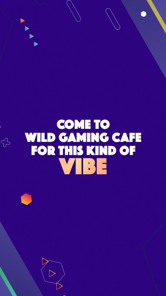 Wildgamingcafe video cover
