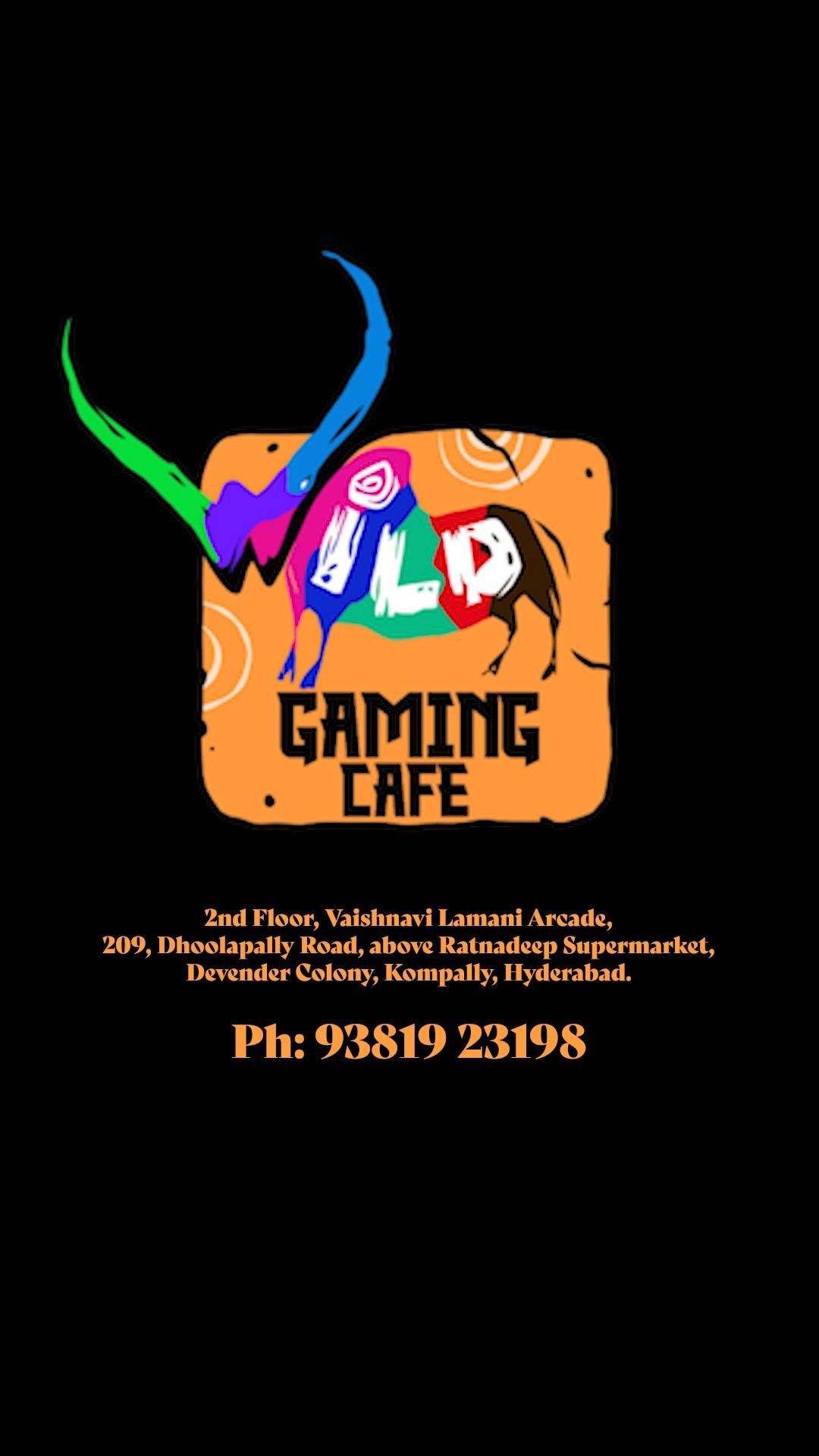 Wildgamingcafe video cover